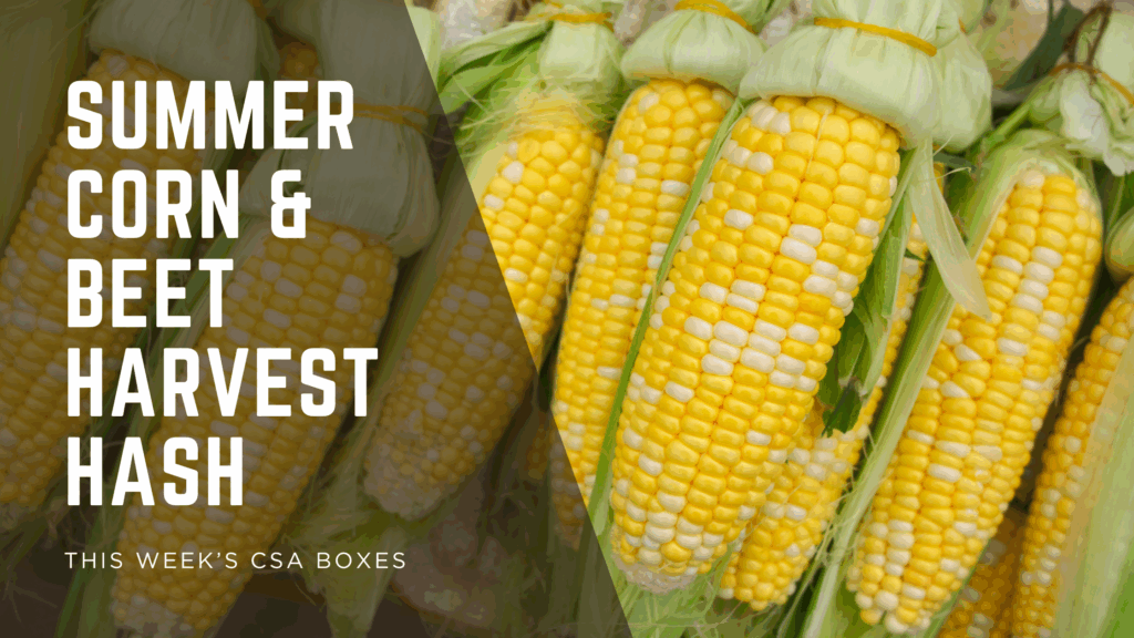 Summer Corn & Beet Harvest Hash - Wesley Wells Farms St Augustine, Florida